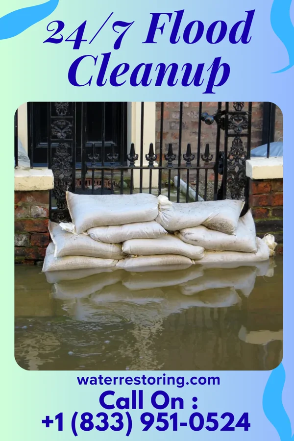 24/7 Flood Cleanup in Alorton, IL
