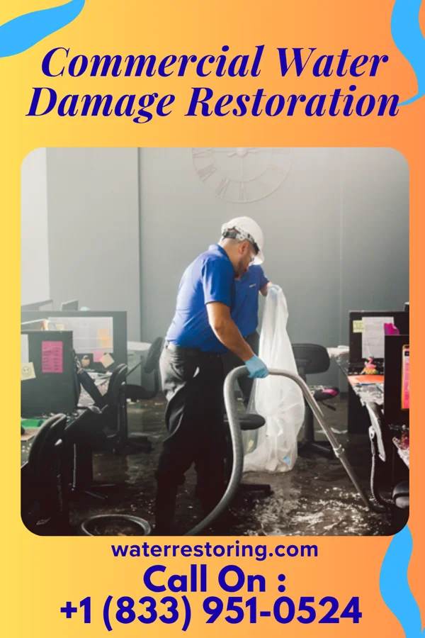 Commercial Water Damage Restoration in Alorton, IL