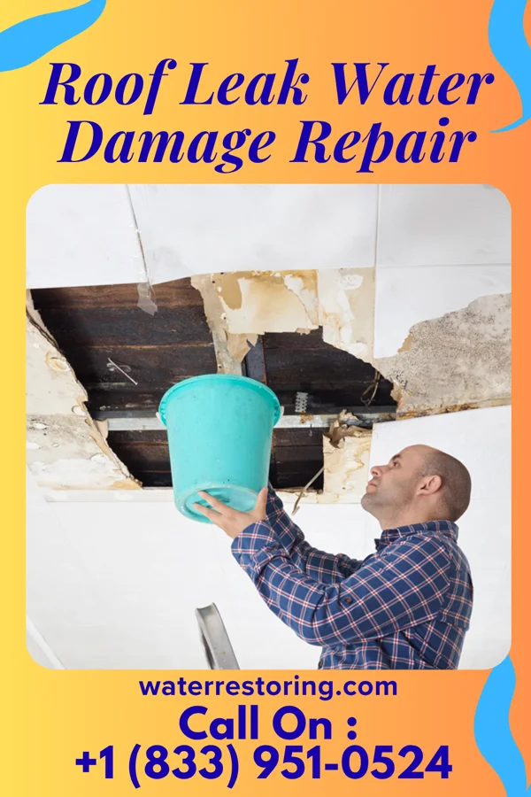 Roof Leak Water Damage Repair in Alorton, IL